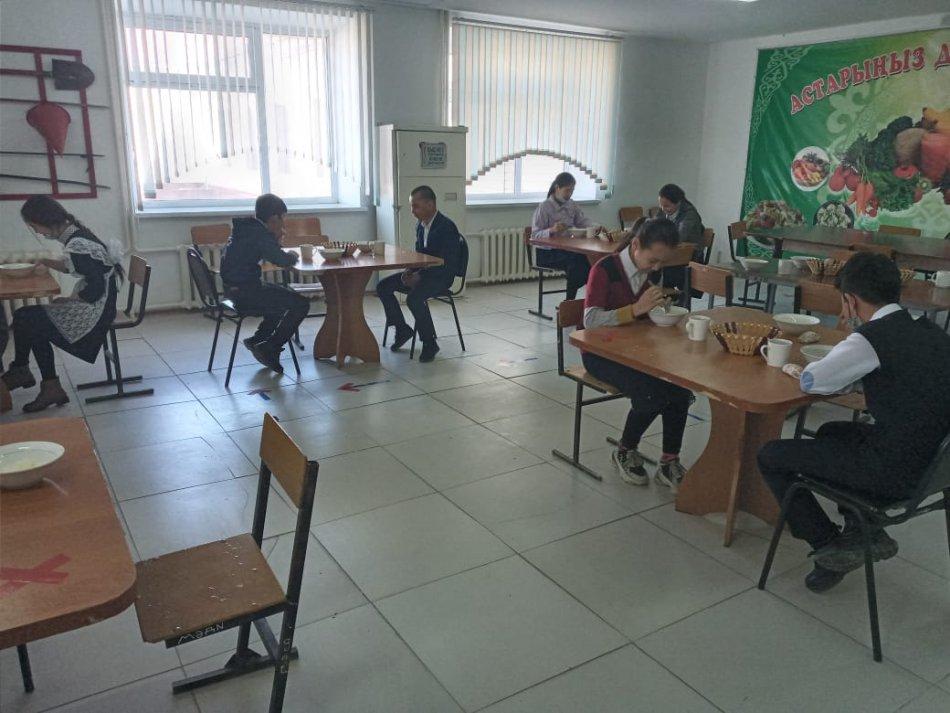 тамақтандыру айдары